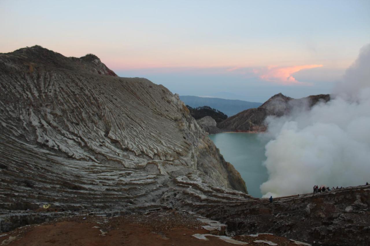 Backpacker Kawah Ijen Hostel Banyuwangi  Ngoại thất bức ảnh